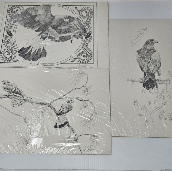 Harris Hawk Bird Art Prints Numbered & Artist Signed Wildlife Set Of 3 - Picture 2 of 16